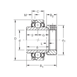 Rodamiento G1204KLL Timken