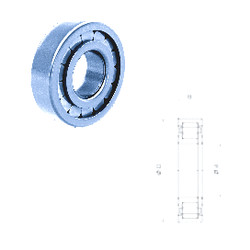 Rodamiento NUP2212FMNR/C3 Fersa