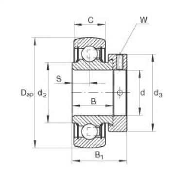 FAG Spannlager - RALE30-XL-NPP-B