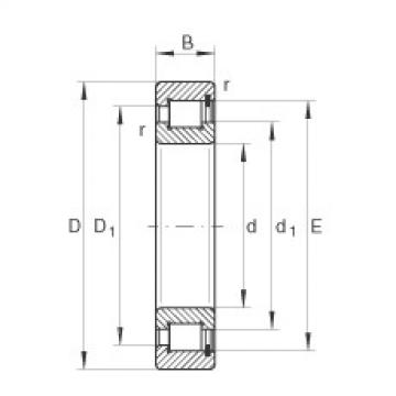 cylindrical bearing nomenclature SL183036 INA