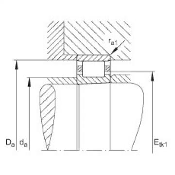 FAG محامل أسطوانية - N1028-K-M1-SP