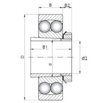 Rolamentos 2320K+H2320 CX