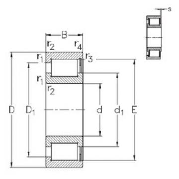 Bantalan NCF1836-V NKE