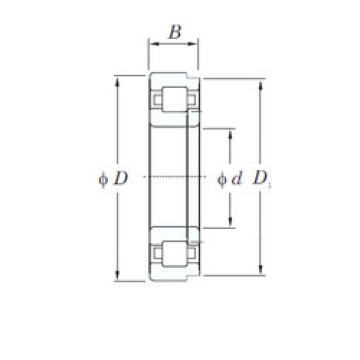 Rodamiento NUP2212 KOYO