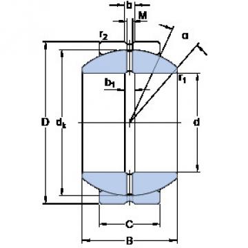 Rolando GEZH 204 ES SKF