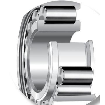 CYLINDRICAL BEARINGS ONE-ROW METRIC ISO SERIES NJ2244EMA