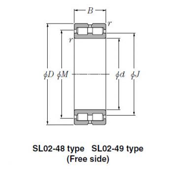 SL Type Cylindrical Roller Bearings NTN SL02-4868