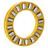 SCHAEFFLER GROUP USA INC K81230M Thrust Roller Bearing