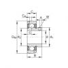 Rodamiento GAY010-NPP-B-AS2/V INA