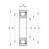 cylindrical bearing nomenclature SL183080-TB INA #1 small image