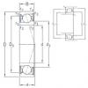 roulements VEB 10 /S/NS 7CE3 SNFA