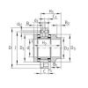 Complex Bearings ZARF1762-L-TV INA