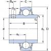 Подшипник YAR 205-2FW/VA228 SKF