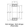 SL Type Cylindrical Roller Bearings NTN SL02-4864