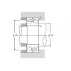 Spherical Roller Bearings JAPAN 21320