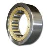 sg Thrust cylindrical roller bearings 81134    