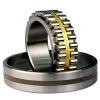 sg Thrust cylindrical roller bearings 81164    