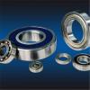 sg Thrust cylindrical roller bearings 7549420    