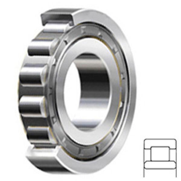 SKF NU 321 ECJ/C3 Rolamentos de rolos cilíndricos #1 image