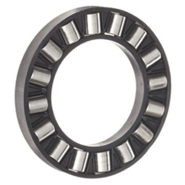 INA K81206-TV Thrust Roller Bearing #1 image