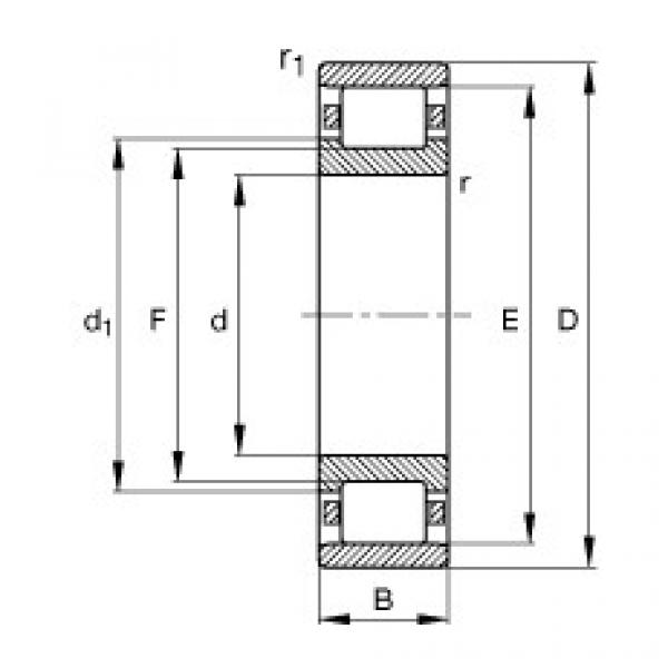 FAG محامل أسطوانية - N228-E-XL-M1 #1 image