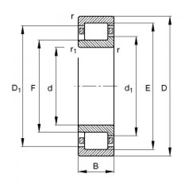 المحامل NJ340-E-TB-M1 FAG #1 image