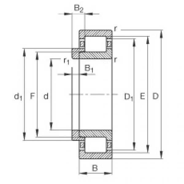 FAG محامل أسطوانية - NJ2228-E-XL-M1 + HJ2228-E #1 image