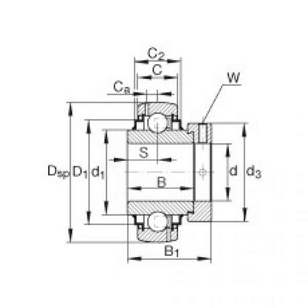 Rodamiento G1012-KRR-B-AS2/V INA #1 image