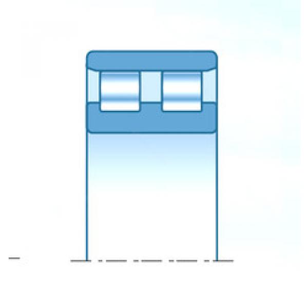 Bantalan NN49/800KP5V1 NTN #1 image