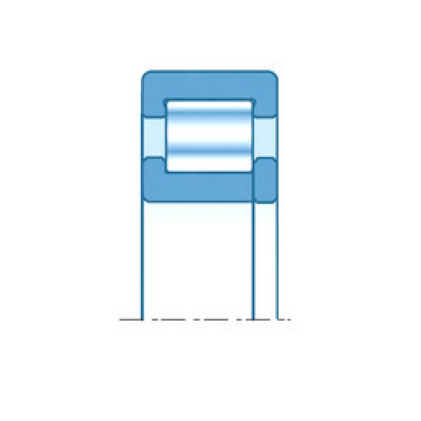 cylindrical bearing nomenclature SNUP2855HL KBC #1 image