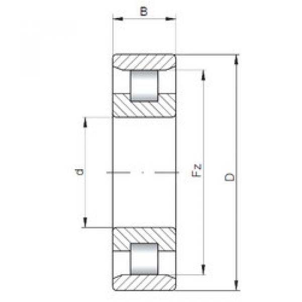 المحامل N202 E CX #1 image