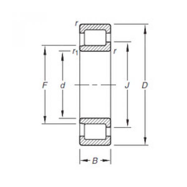 المحامل NJ203E.TVP Timken #1 image