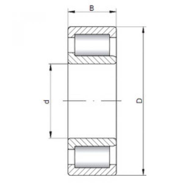 cylindrical bearing nomenclature SL192305 ISO #1 image