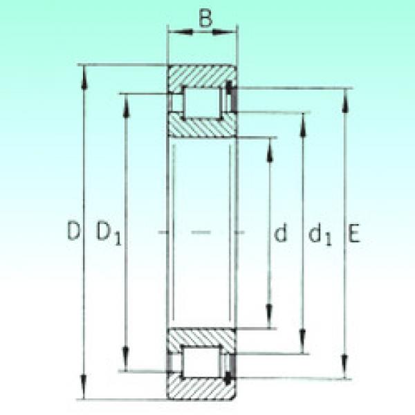 cylindrical bearing nomenclature SL183020 NBS #1 image