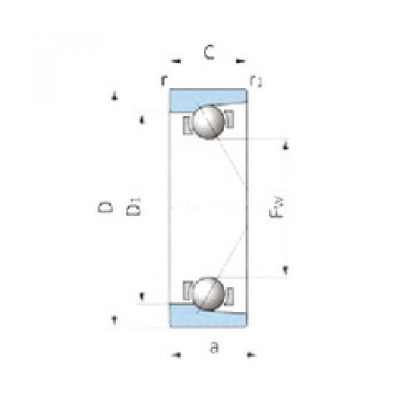 Rolando VTAA19Z-3A NSK #1 image