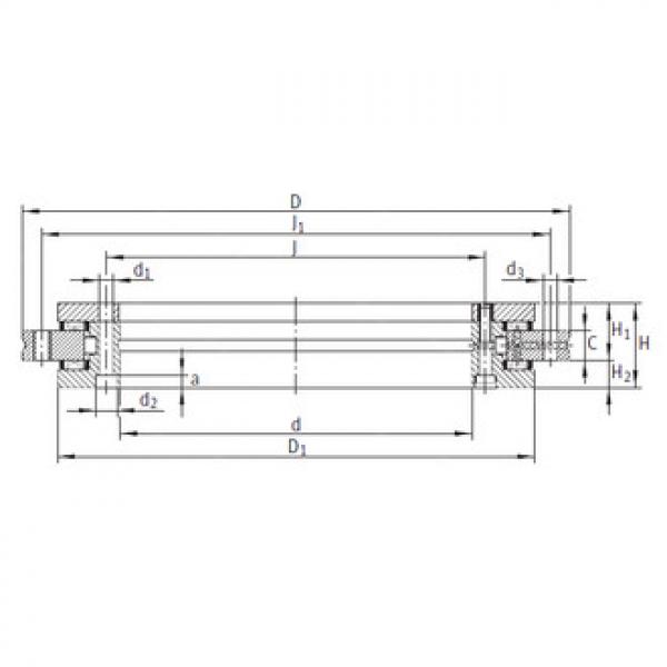 Complex Bearings YRT1030 INA #1 image