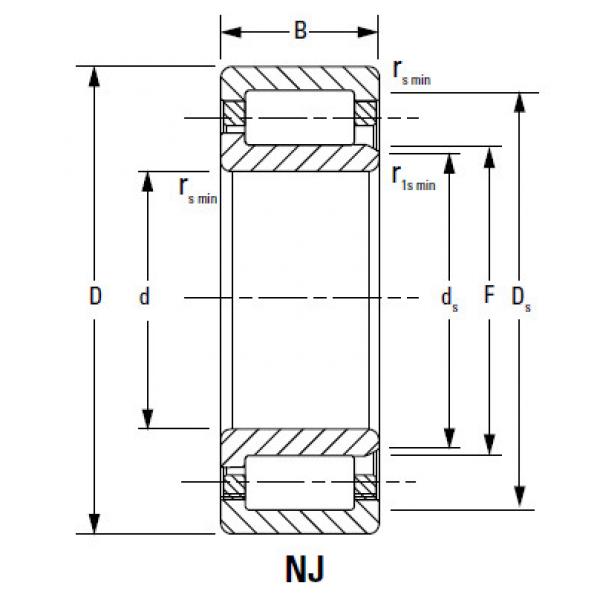 CYLINDRICAL BEARINGS ONE-ROW METRIC ISO SERIES NJ1044MA #1 image