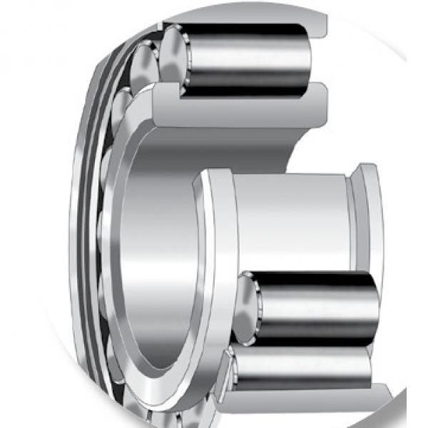 CYLINDRICAL ROLLER BEARINGS one-row STANDARD SERIES 170RU51 #1 image