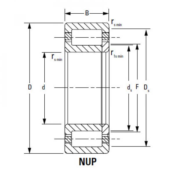 CYLINDRICAL ROLLER BEARINGS one-row STANDARD SERIES 170RF93 #1 image