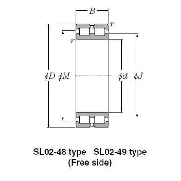 SL Type Cylindrical Roller Bearings NTN SL01-4972 #1 image