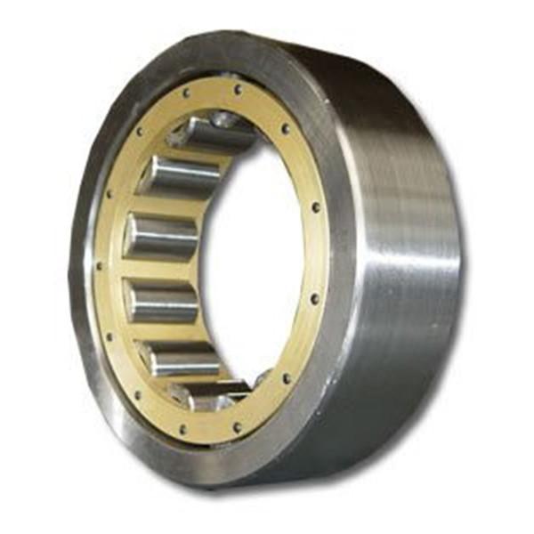 sg Thrust cylindrical roller bearings 811/670     #1 image